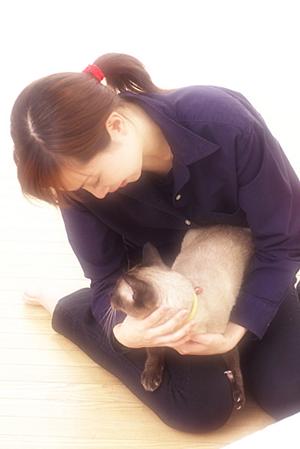 信頼と実績のシロアリ駆除ならアサンテ｜即日対応・土日祝も受付中