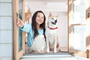 犬用の木のおもちゃならニーナオットソン