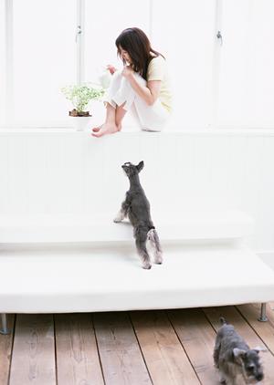 信頼できる猫ブリーダー直売店をお探しの方に