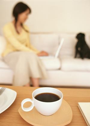 大阪で手軽にペットの火葬や葬儀を行う方法をご紹介